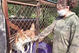 “但愿这个世界再没有遗弃……”图片