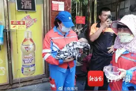 海口弃婴的父母已找到 案件移交至琼山刑警大队进一步办理图片