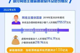 带货达人别变“逃税典型”这些税法底线触碰不得图片