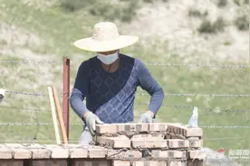 自然·新疆①丨粉红椋鸟—草原铁甲兵图片