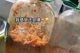 盐城大妈自酿两瓶李子酒都炸了，专家：不炸就怪了图片