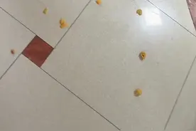 凌晨，全家被不明巨响炸醒，跑出去一看…惊呆了图片