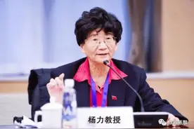 杨力教授：长江赋图片