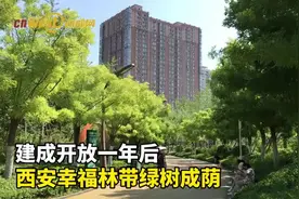西安幸福林带建成开放一年后：绿树成荫 生态环境优美图片