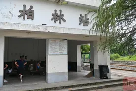 行走成渝铁路㉒丨柏林站：见证村民增收图片