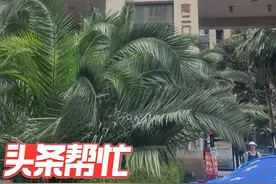 夫妻吃苦8年花160多万在长沙买房，偶然发现一份协议瞬间崩溃图片