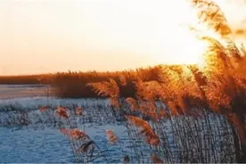 初识蒹葭在故乡图片