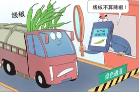 漫·议｜线椒不是辣椒？收费站上演“白马非马”为哪般图片