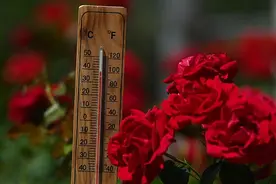 “最热的夏天”还没有来图片
