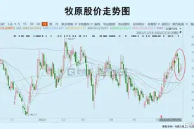 是时候搞猪周期了图片