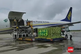 三峡库区迎来首架农产品货运专机 重庆巫山脆李专机首航直飞南京图片