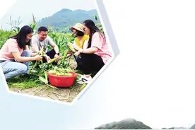 都市消费新需求——快乐认种一块地图片