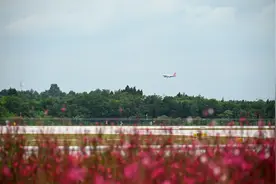 成都这个观景台可以看飞机起降，还免费！图片