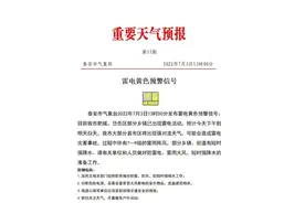 打雷了！山东泰安发布重要天气预报：强对流天气预计下午就到图片