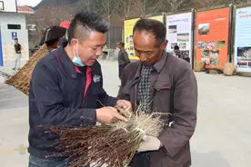 七一特别报道丨王小兵：他视村民为亲人，孩子喊他“舅舅”图片