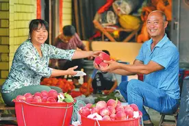 龙泉山水蜜桃“上新” 乡村经济甜蜜升级图片