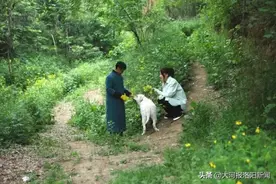 女孩花66万买房车，带养父周游全国！背后真相是这样……图片