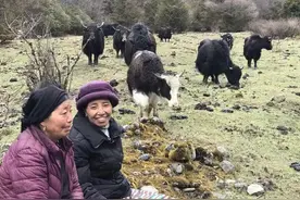 大美边疆行丨西藏：固边兴边富民 打造高原边疆美丽新画卷图片