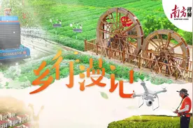 赛过糯米糍、比鸡蛋还大……这些“宝藏”荔枝品种你吃过吗？| 乡行漫记图片