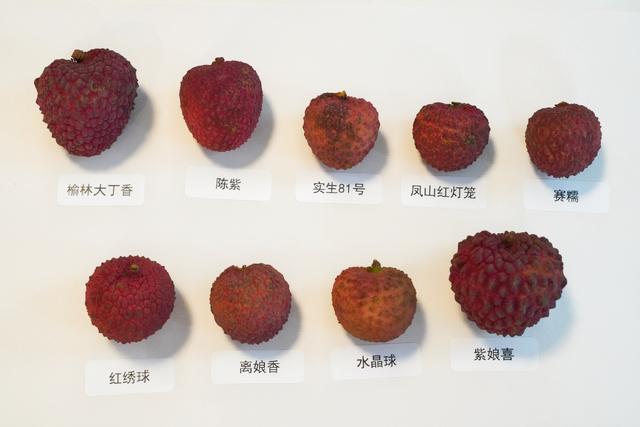 荔枝有哪些品种?品种叫什么名字?