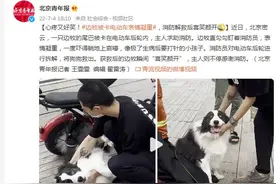 心疼又好笑！边牧被卡电动车表情凝重，消防解救后喜笑颜开图片