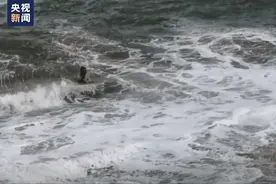 跳进巨浪里救女童！三位英雄找到了图片