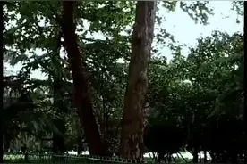 时间带走了曾经的年少轻狂，也沉淀了所有冷暖自知图片