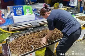 知了猴价格今年涨了10-15元？济南商家：总体产量少了图片