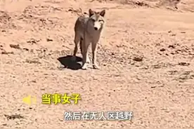 女子无人区上厕所与狼四目相对：“我以为是二哈”图片