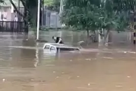 小车被浸即将没顶！东莞“90后”退伍军人与热心市民合力砸窗救人图片