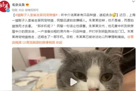 猫贩子入室偷走居民宠物猫：听中介说某家有只品种猫，遂起贪念图片