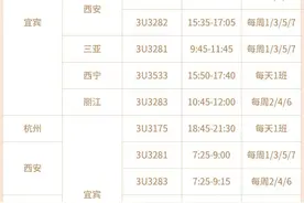 四川航空在宜宾五粮液机场投放首架驻场飞机图片
