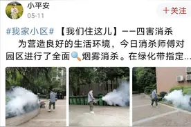 “嗡嗡嗡”~退！退！退！防蚊虫妙招快收好图片