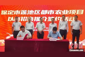 河北保定莲池区牵手北京新发地 建都市农业示范区图片