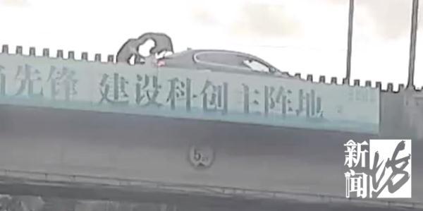 外婆稍没留神，5岁女童滑板上公路溜了5公里……太危险