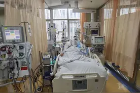 饭后“炫”了半斤它，女子多脏器衰竭住进ICU…这个细节要警惕图片