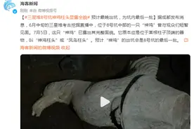 三星堆8号坑神鸡柱头显露全貌，预计最晚出坑，为坑内最后一批图片