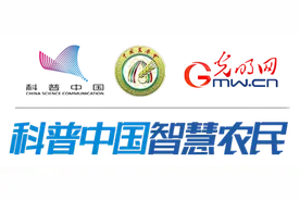 什么是“一喷三防”？怎么实施？图片