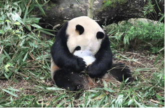 热热热的夏天 滚滚降暑有三宝：吃冰冰、吹空调、泡个凉水澡图片