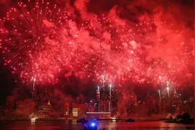 美民众将独立日烟花认成枪声四散奔逃 美媒：庆祝活动被美“瘟疫”撕裂图片