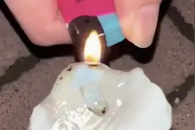 雪糕烧不化？钟薛高回应：卡拉胶未超标，用此方法评断品质不科学图片