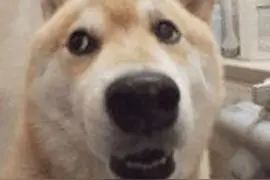 微信将可开“小号”，冲上热搜图片