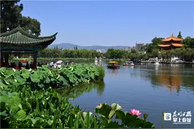 万余盆荷花睡莲竞相争艳！快来大观公园赏花逛吃图片