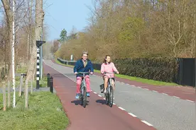 自行车助力绿色出行图片