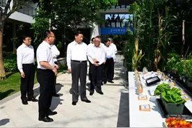 看中国•千家万户的事 自贸港蹄疾步稳 生态海南振兴忙图片