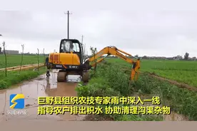 菏泽巨野：强降雨后 农技专家支招农民进行田间管理图片
