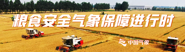 玉米是单子叶还是双子叶（扩种大豆如何让它与玉米做邻居气象来参谋）