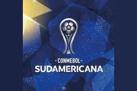 历史首次！南美杯八强队伍里没有一支阿根廷球队图片