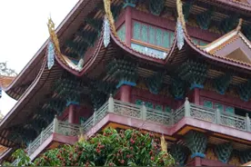 西禅古寺，荔枝红了图片