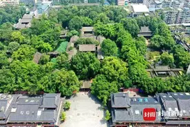 和松鼠拼“手速”四川眉山三苏祠开启“日啖荔枝三百颗”图片